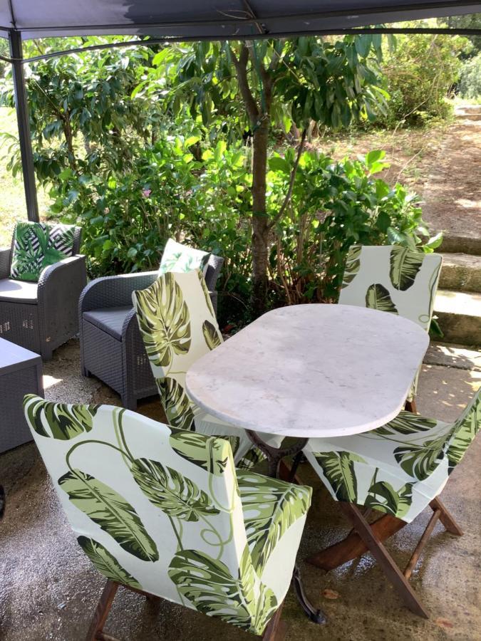 Charmant Appartement 2 Pieces Eccica-Suarella  Εξωτερικό φωτογραφία