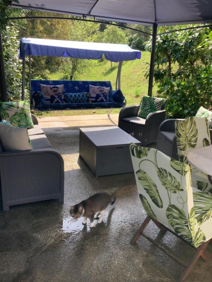 Charmant Appartement 2 Pieces Eccica-Suarella  Εξωτερικό φωτογραφία