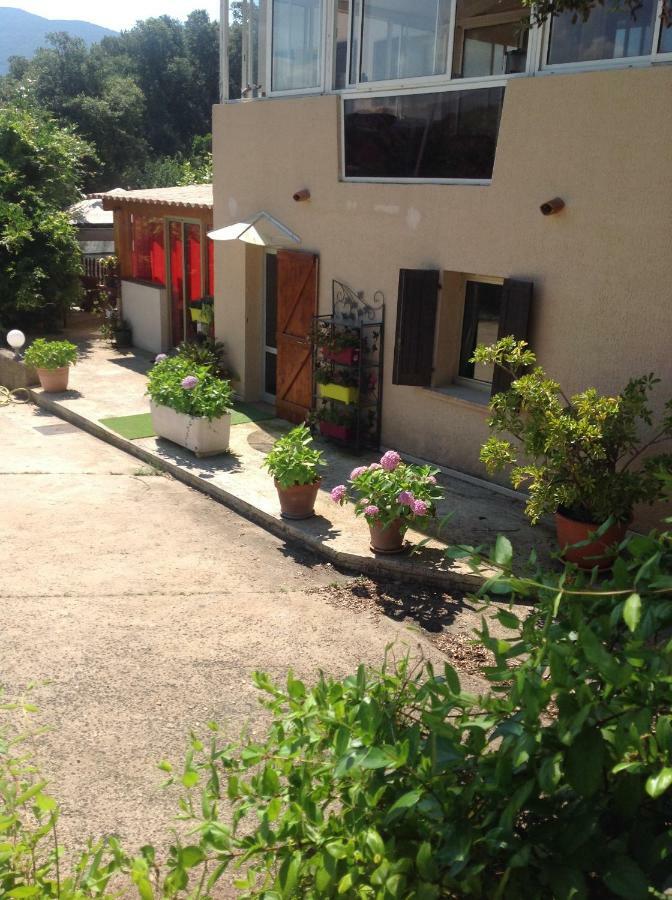 Charmant Appartement 2 Pieces Eccica-Suarella  Εξωτερικό φωτογραφία
