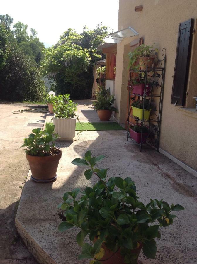Charmant Appartement 2 Pieces Eccica-Suarella  Εξωτερικό φωτογραφία
