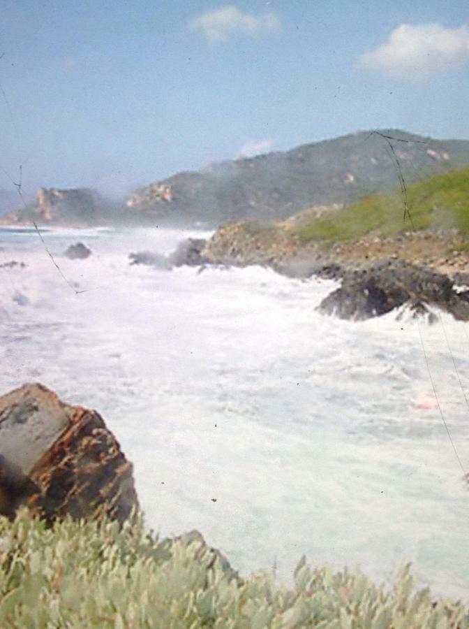 Charmant Appartement 2 Pieces Eccica-Suarella  Εξωτερικό φωτογραφία