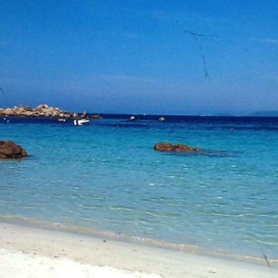 Charmant Appartement 2 Pieces Eccica-Suarella  Εξωτερικό φωτογραφία